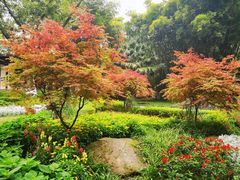 -望江楼公园