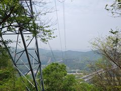 -旗岭森林公园