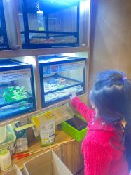 -卡通尼·Safari非洲探索乐园·生日会(金桥国际商业广场店)