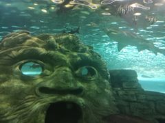 -悉尼海洋生物水族馆