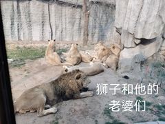 -北京野生动物园