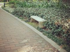 -金山公园
