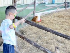 -HERRE·FARM 赫尔露营农场·团建聚会包场