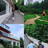 重庆遛娃 | 城市里的森林亲子咖啡馆🌲🍰☕️