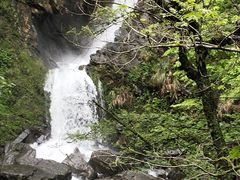 -石台牯牛降景区