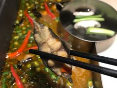 -新辣道鱼火锅(领展购物广场·中关村店)