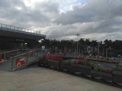 -亚龙湾中心广场