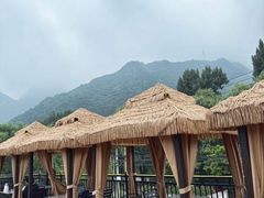 -遇见小院—虹鳟鱼•农家菜(怀柔店)