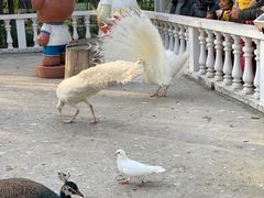 -金庭庄园酒店-停车场