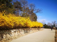 -北京西山国家森林公园