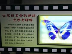 -上海昆虫博物馆