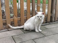 -草根堂农场
