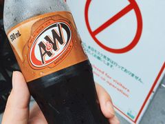 -苏丹回教堂