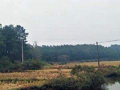 -井冈山风景名胜区