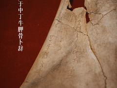 -安阳博物馆
