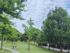 -广富林郊野公园