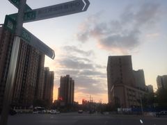 -新江湾城公园
