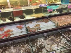 -新海利海鲜城·41年珠海老字号(夏湾店)