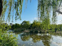 -南翠屏公园