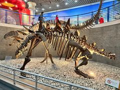 -国家自然博物馆