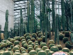 -南山植物园