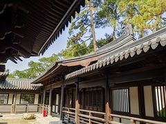 -江心屿景区