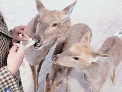 -水上乐园·欢乐世界