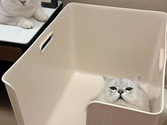 -美联众合动物医院·24h转诊中心