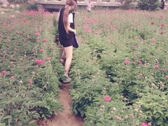 iphone_upload_pic-郑州植物园