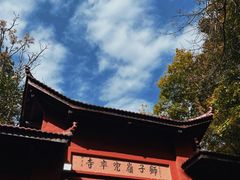 -南京老山国家森林公园