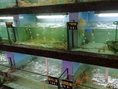 水产区-旺达·福州菜(正大广场店)
