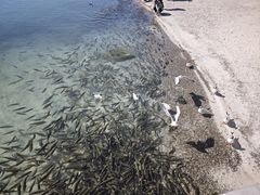 -青海湖二郎剑景区