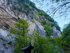 -陕西省红河谷森林公园