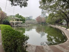 -晓港公园