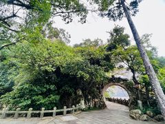 -江心屿景区