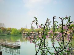 -乌镇景区