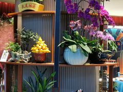 -上海人家花樣年华(中山公园店)