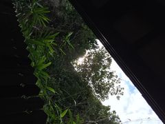 iphone_upload_pic-三亚亚龙湾人间天堂鸟巢度假村
