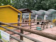 -北京市海淀外国语实验学校
