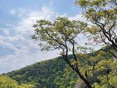 -鹫峰国家森林公园