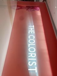 -THE COLORIST调色师