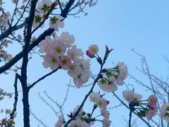 -西北湖绿化广场