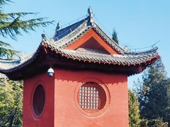 -洛阳白马寺
