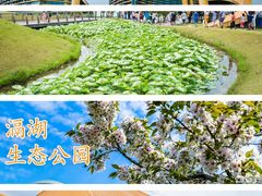 -滆湖低碳生态公园