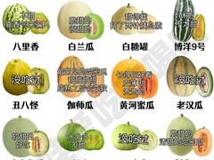 -四川北路(地铁站)