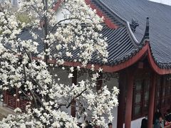 -堤角公园
