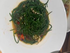 -老阿妈蒙古村·蒙古包·草原文化·歌舞表演(老君堂店)