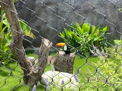 -武汉动物园