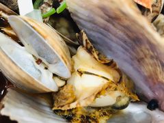 -晓伟海鲜家常菜