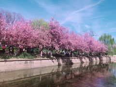 -海棠花溪(元大都城垣遗址公园)
